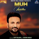 Sufi Balbir Songs MP3 Download